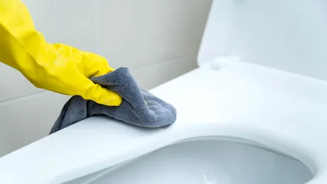 Cum să elimini rapid petele de pe vasul de toaletă. Va fi curat și strălucitor