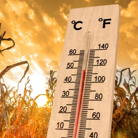 Revine vremea călduroasă în următoarele zile. Temperaturile vor urca până la 35 de grade Celsius