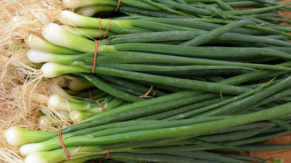Cum să crești ceapă verde într-un pahar cu apă în bucătăria ta