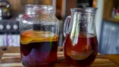 Kombucha: ce conține, de fapt, și merită popularitatea?