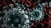 „Doza” de coronavirus cu care te infectezi ar putea determina severitatea bolii. Descoperirea cercetătorilor