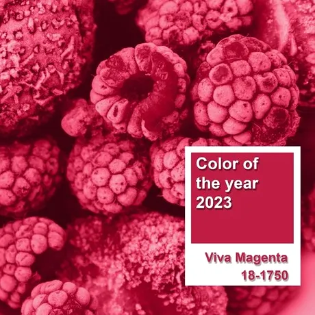 Viva Magenta – culoarea anului 2023, conform Institutului Pantone. Ce simbolizează această nuanță