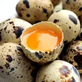 Ouăle în dietă: Cum alegi variantele cele mai nutritive?