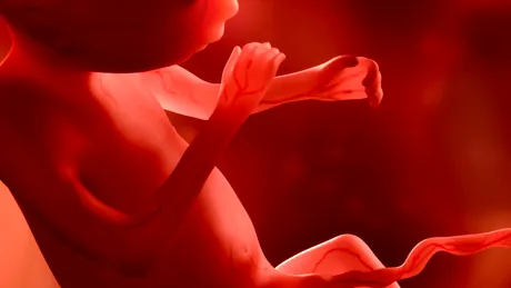 Dr. Laura Dracea: testele moderne care cresc şansele de implantare a embrionilor în FIV VIDEO by CSID