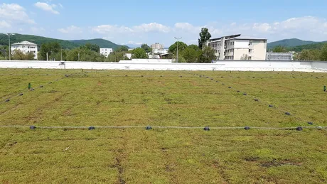 (P) Rolul acoperișurilor verzi în reducerea temperaturii din orașele mari