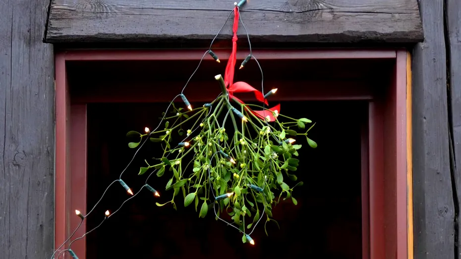 Unde se pune vâscul de Sărbători. Locul special care aduce protecție casei și noroc familiei