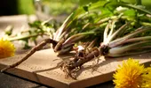 Planta obișnuită care a dat rezultate surprinzătoare în laborator împotriva cancerului de colon. Ce spun cercetătorii și care este avertismentul medicilor