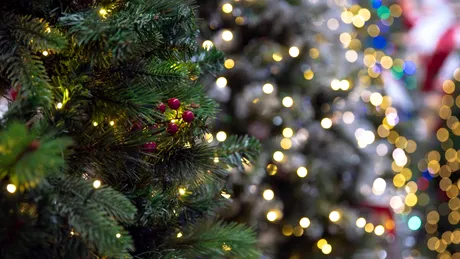 Cât a ajuns să coste un brad artificial anul acesta? Prețurile din magazine îi surprind pe cumpărători