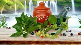 Planta „veche” care reduce stresul, oboseala  și anxietatea. E numită „Xanaxul naturii”