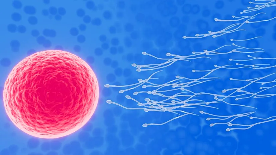 (P) Sănătatea reproductivă – un demers de cuplu, nu doar o problemă individuală