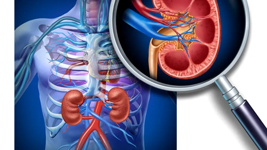 Boala cronică de rinichi: simptome, complicaţii, prevenţie