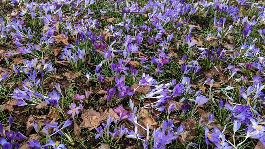 Obiceiuri care îți schimbă instant starea de dispoziție în bine. Sunt gratis!