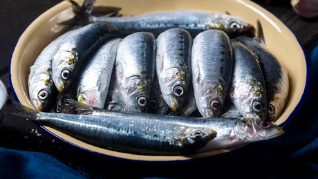 Cel mai sănătos pește din lume se găsește în toate supermarketurile din România. E și ieftin