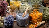 Plantele care înfloresc în mai și beneficiile lor mai puțin cunoscute pentru sănătate