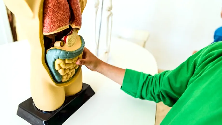 Exercițiul fizic reduce riscul de recidivă în cancerul de colon, potrivit celor mai noi studii