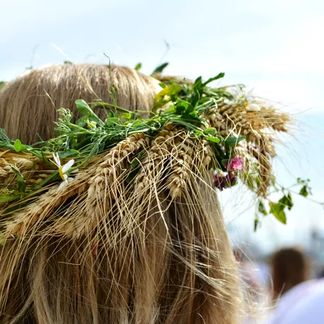 Sânziene 2025. De ce trebuie să punem busuioc sub pernă în noaptea de 23 spre 24 iunie