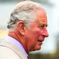 Regele Charles, mesaj categoric pentru Harry și Meghan după revenirea lor în Marea Britanie. Ce statut vor avea