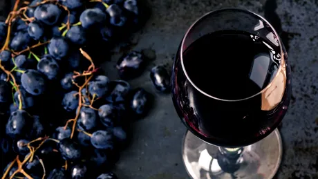 Anumiţi compuşi din vinul roşu ar putea fi folosiţi în tratamentele pentru depresie şi anxietate.
