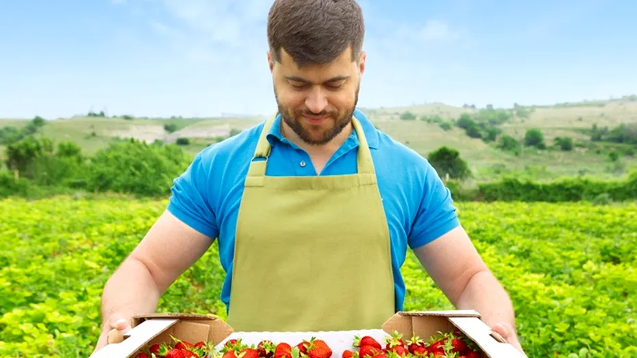 Trucul pentru a avea o recoltă bogată de căpșuni. Ce trebuie să faci după ce înfloresc