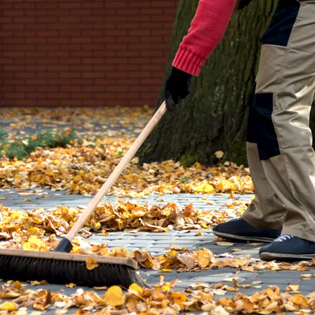 Ce amendă riști dacă nu păstrezi curățenia în fața casei