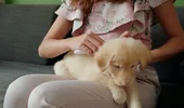 Cum scapi natural de puricii din casă. Metode eficiente și soluții rapide pentru o locuință curată