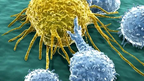 Celule maligne transformate în celule ale sistemului imunitar