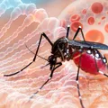 Febra dengue a scăpat de sub control într-o regiune din Italia, avertizează epidemiologii