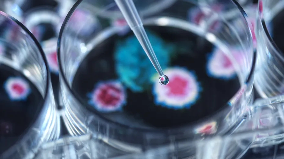 Virusurile care ar putea provoca cancer! Cum ne putem proteja