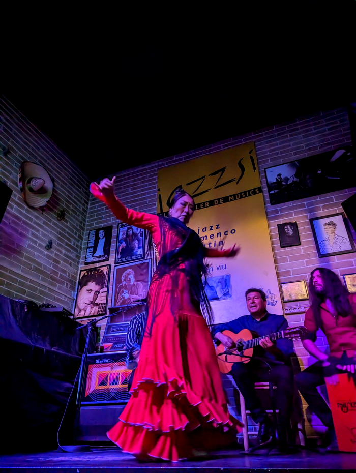 flamenco foto Madalina Dragoi