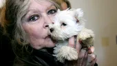 Brigitte Bardot, ca mamă: „Mai bine aveam un câine decât un copil”. Ce relație are cu fiul pe care l-a numit „tumoră canceroasă” când era însărcinată