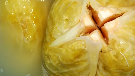 STUDIU. Motivația de a face sport, influențată de microbiomul intestinal. Ce alimente „hrănesc” bacteriile bune