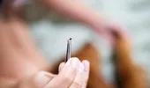 Cum scoți corect o căpușă fără să o rupi. Metoda recomandată de un medic dermatolog