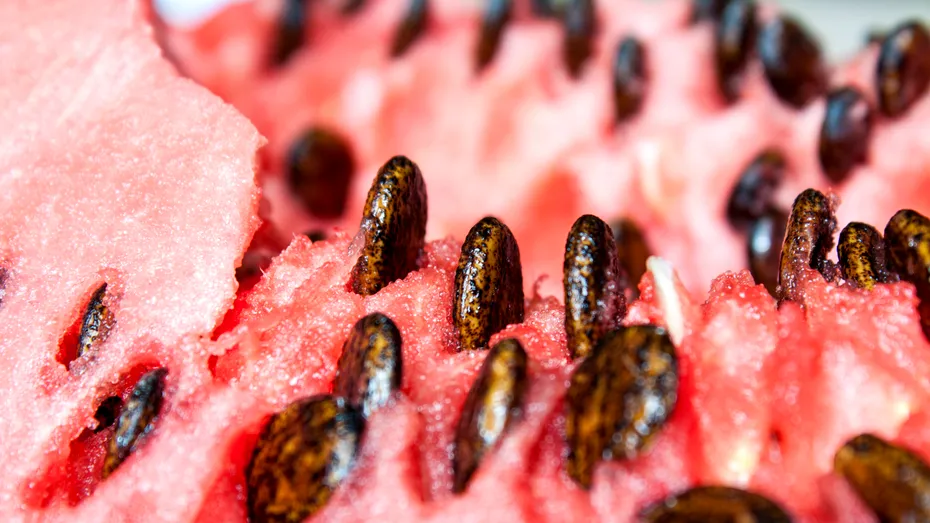 Semințele de pepene: ce se întâmplă dacă le înghiți. Beneficii și contraindicații