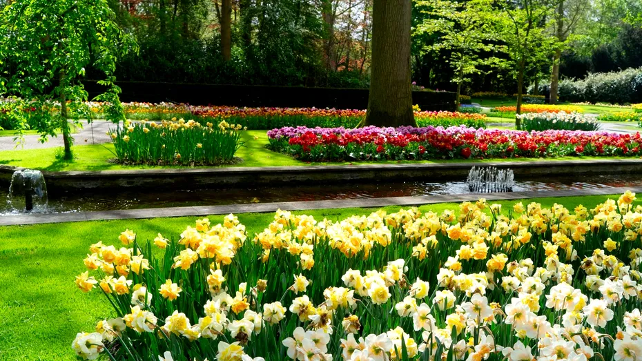 Ce să faci în grădina ta în aprilie pentru o curte verde și frumoasă la vară