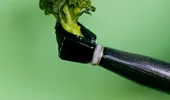 O enzimă din broccoli ajută la menţinerea tinereţii