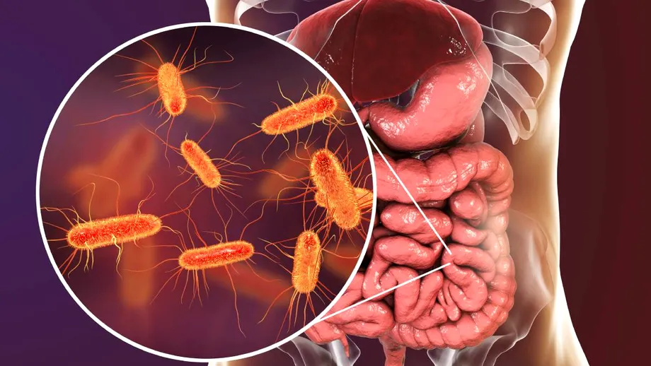 Lista medicamentelor eliberate pe bază de rețetă care pot afecta microbiomul