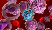 Cercetătorii au reușit să transforme o singură celulă stem în milioane de „ucigași” de cancer, reducând masiv costurile tratamentelor