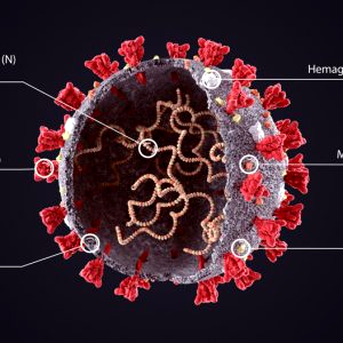 coronavirus ce contine proteina spike