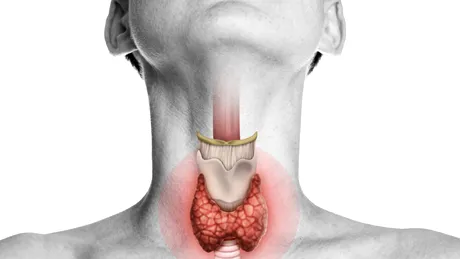 Chimicale care îmbolnăvesc tiroida. Ce sunt disruptorii endocrini și în ce produse sunt folosiți