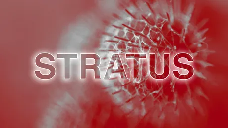 Ce este Covid „Stratus”? Simptomele noii tulpine de coronavirus. De ce e diferită această variantă? 