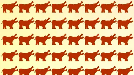 Test de logică | Găsiți rinocerul ascuns printre hipopotamii din imagine!