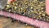 Rețetă pastramă sud-africană. Cum să gătești cel mai delicios biltong