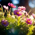 Vrei ca florile din grădină să reziste peste iarnă și să înflorească din abundență la primăvară? Ce să pui la rădăcina lor, la început de toamnă