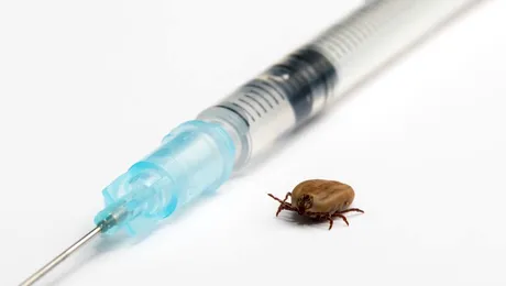 Encefalita de căpușă poate fi prevenită prin vaccinare. Boala poate duce la sechele neurologice severe!