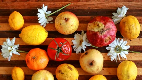 Ce poți să faci cu fructele care sunt pe cale să se strice. Întrebuințări la care nu te-ai fi gândit
