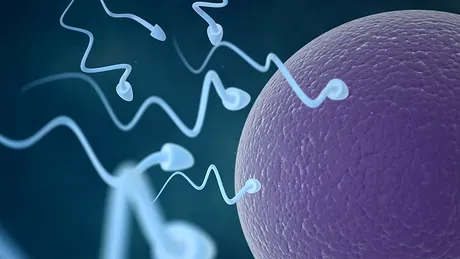 Bolnavii de cancer şi-ar putea păstra fertilitatea cu ajutorul unei proceduri controversate