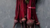 Cum se consumă sfecla roşie în bucătăriile lumii