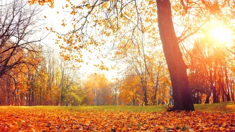 Când se răceşte vremea și vin ploile? Meteorologii anunță vreme schimbătoare până la finalul lunii septembrie