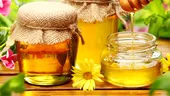 Cum se păstrează cel mai bine polenul, mierea şi lăptişorul de matcă?