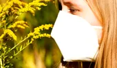 Ambrozia – de ce apar alergii